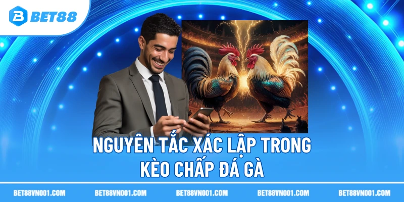 Nguyên tắc xác lập trong kèo chấp đá gà