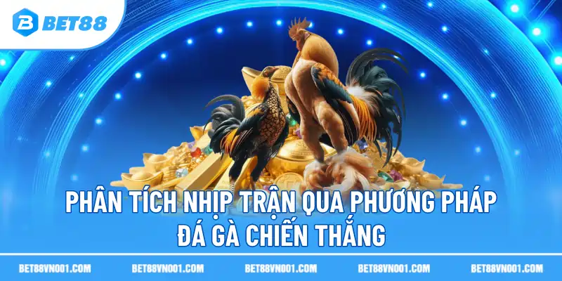 Phân tích nhịp trận qua phương pháp đá gà chiến thắng