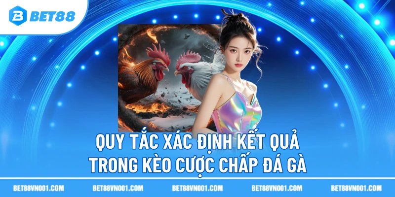  Quy tắc xác định kết quả trong kèo cược chấp đá gà